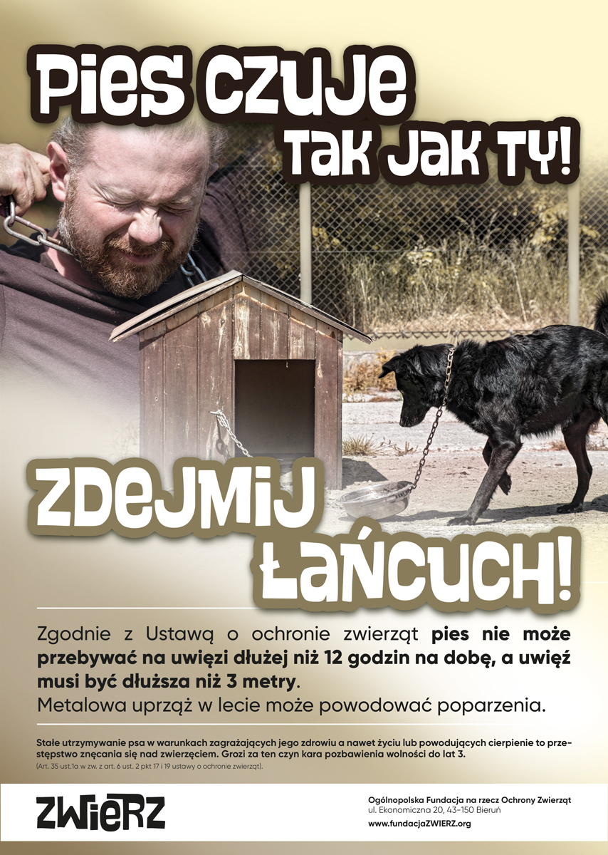 ZWIERZ-akcja-lato-plakat-2-A3-podglad