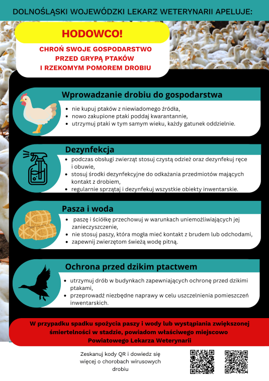 Ulotka informacyjna HPAIND- drób przyzagrodowy