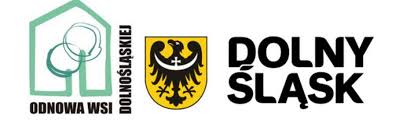 logo dnowa 2